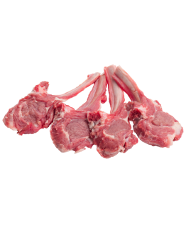 PUPPY MONOPROTEICO AGNELLO - GRAIN FREE