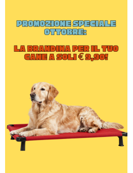 PROMOZIONE OTTOBRE BRANDINA