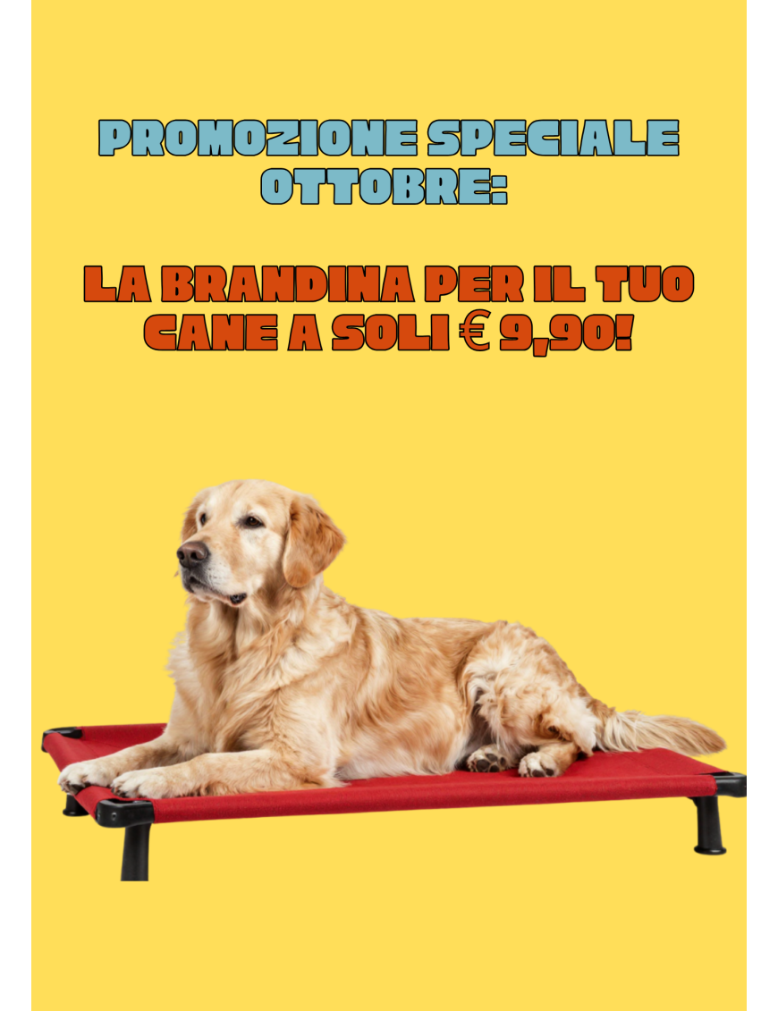 PROMOZIONE OTTOBRE BRANDINA