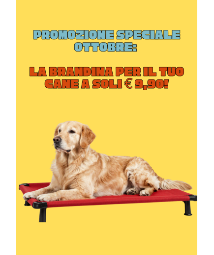 PROMOZIONE OTTOBRE BRANDINA